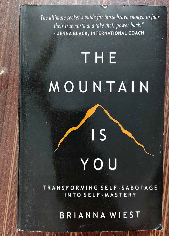 The Mountain is You: Transforming Self-Sabotage in