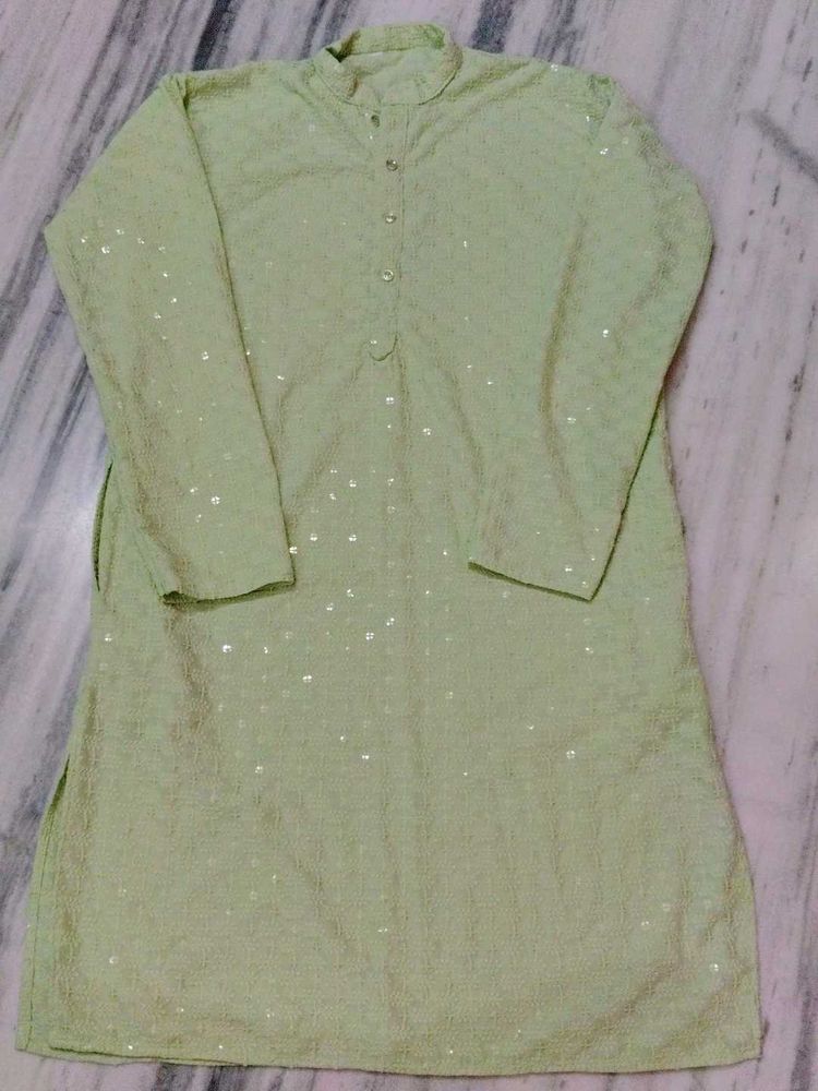pista Green Sequined Kurta