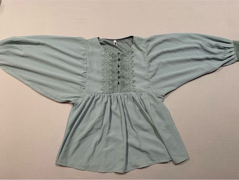 Light Blue Embroidered top