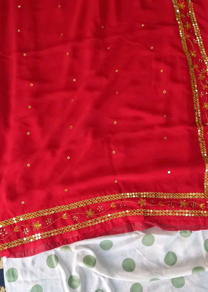 Beautiful Red Sequined Saree
