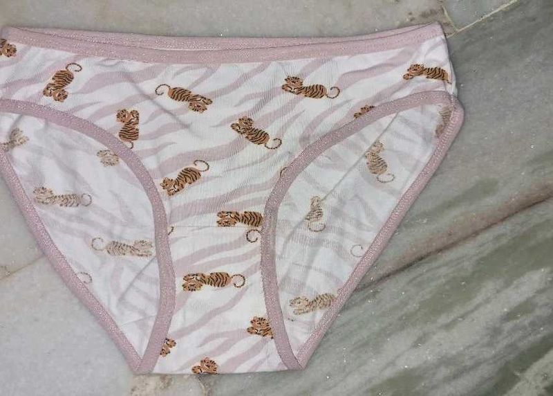 Cute Tiger Print Briefs