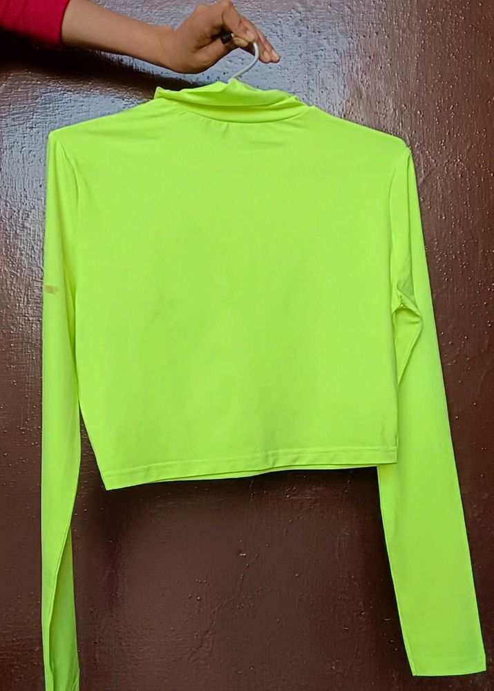 Parrot 🦜 💚 Green Shein Top With Full Sleeve Neck
