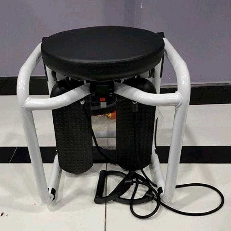 Tummy Twister + Stepper.