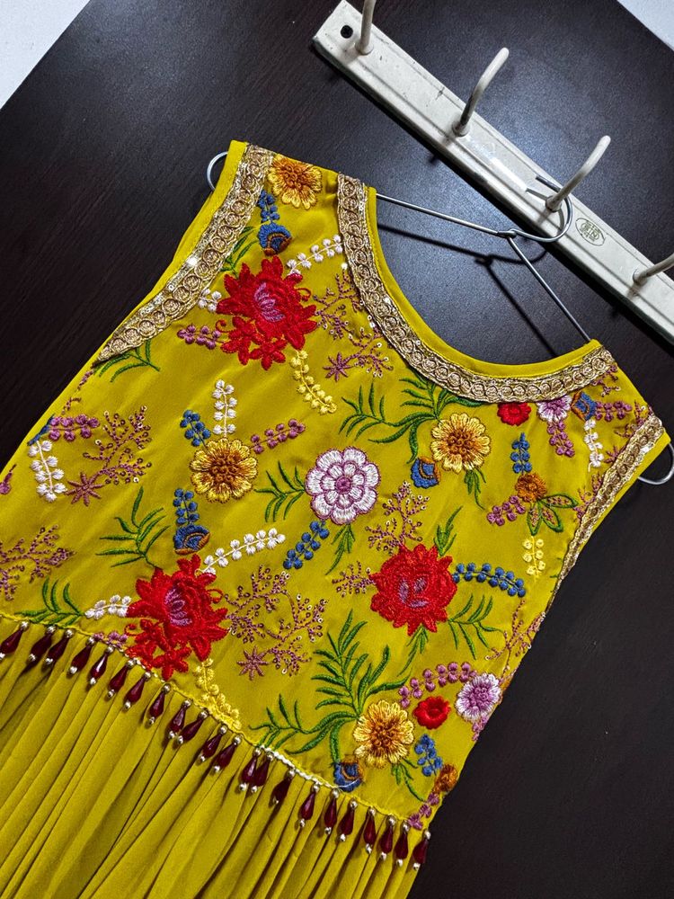 Elegant Embroidered Ethnic Gown