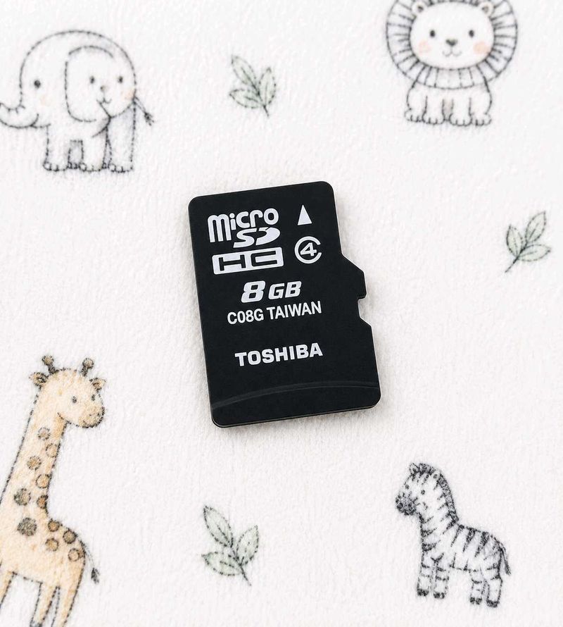 Toshiba 8GB MicroSD Card