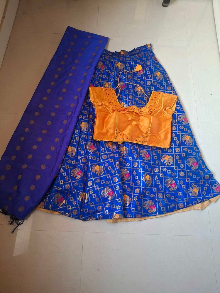 Blue Elephant Print Lehenga Choli
