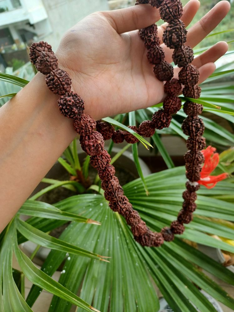 Rudraksha Mala