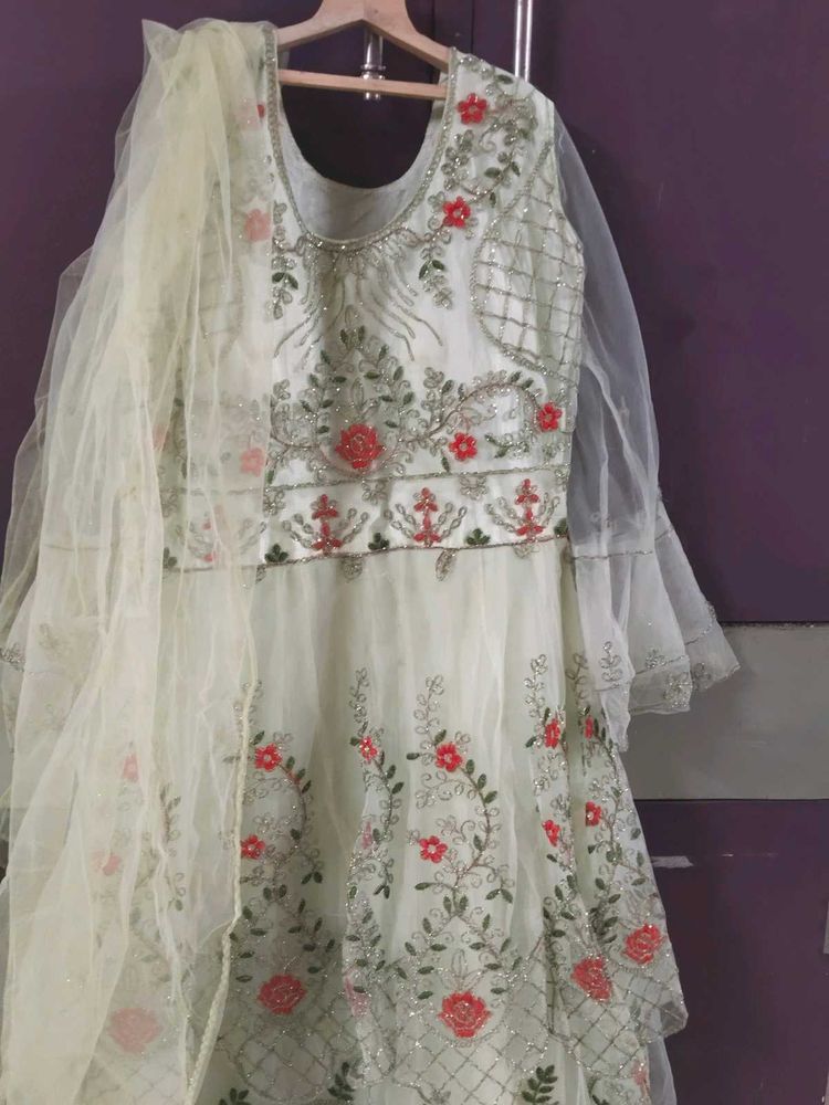 Elegant Ethnic Gown