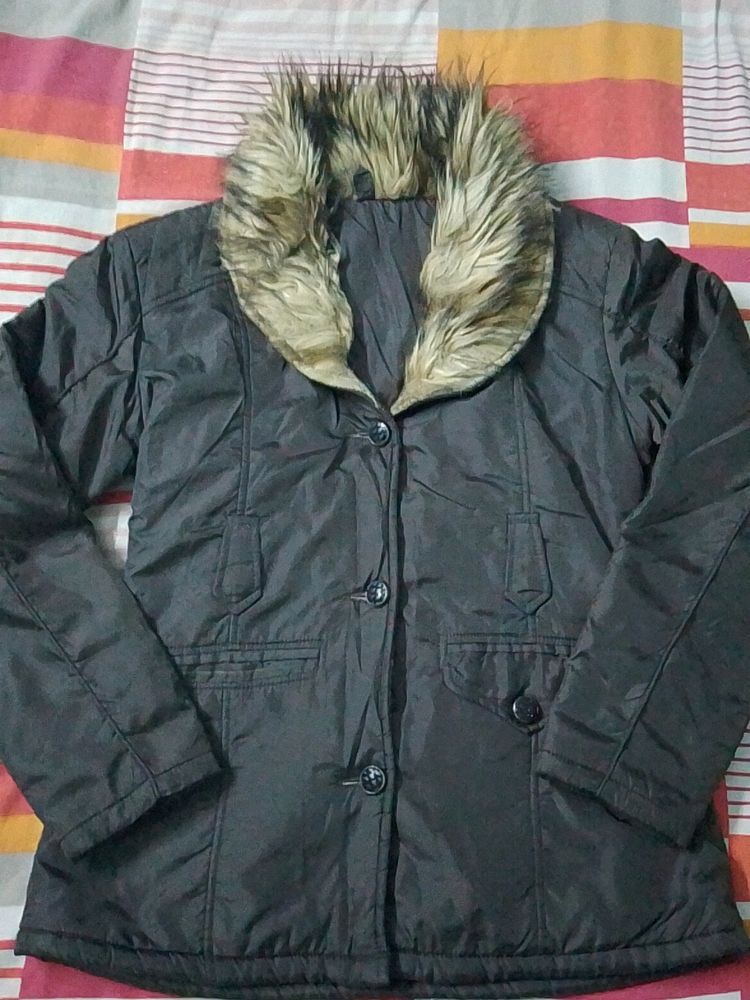 Winter Wear Jacket