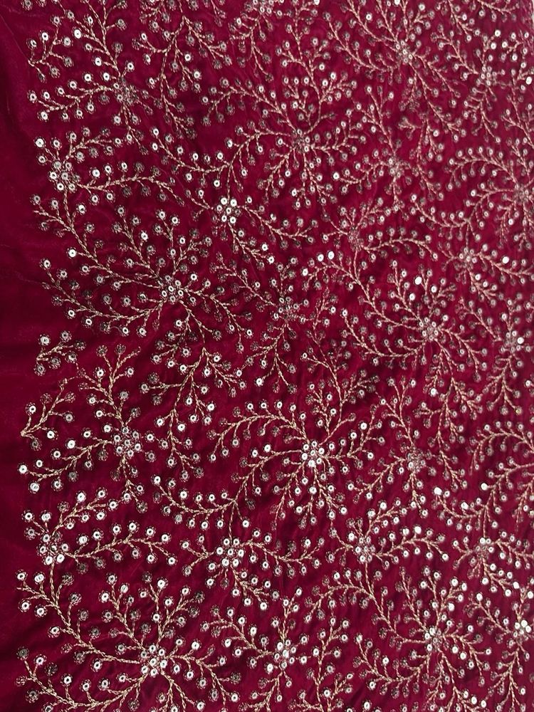 Exquisite Sequin Embellished Saree