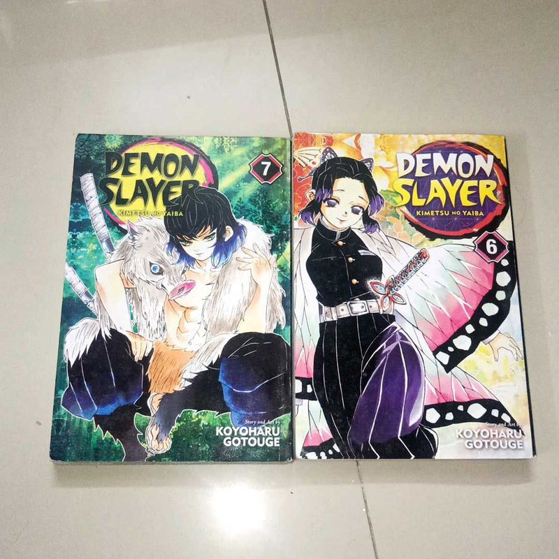 Demon Slayer Volume 6 And 7