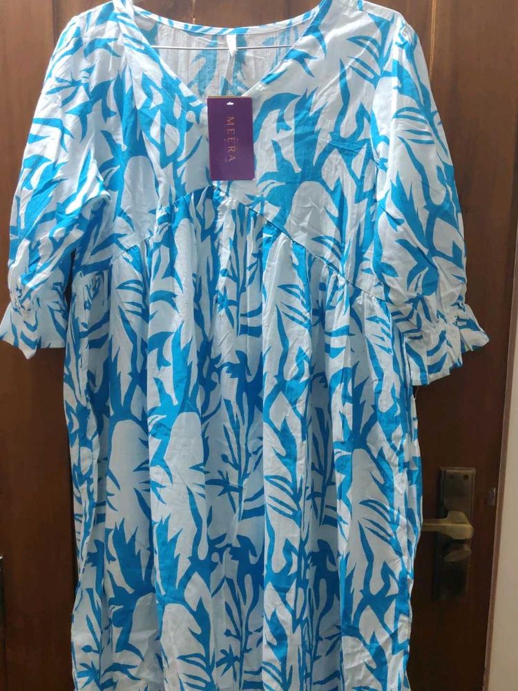 Blue &amp; White Printed Dress