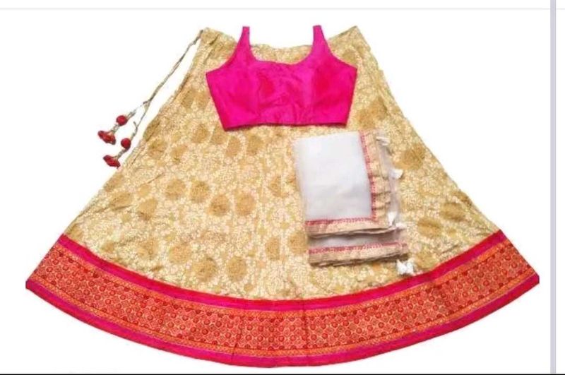 Designer Lehenga Choli Set