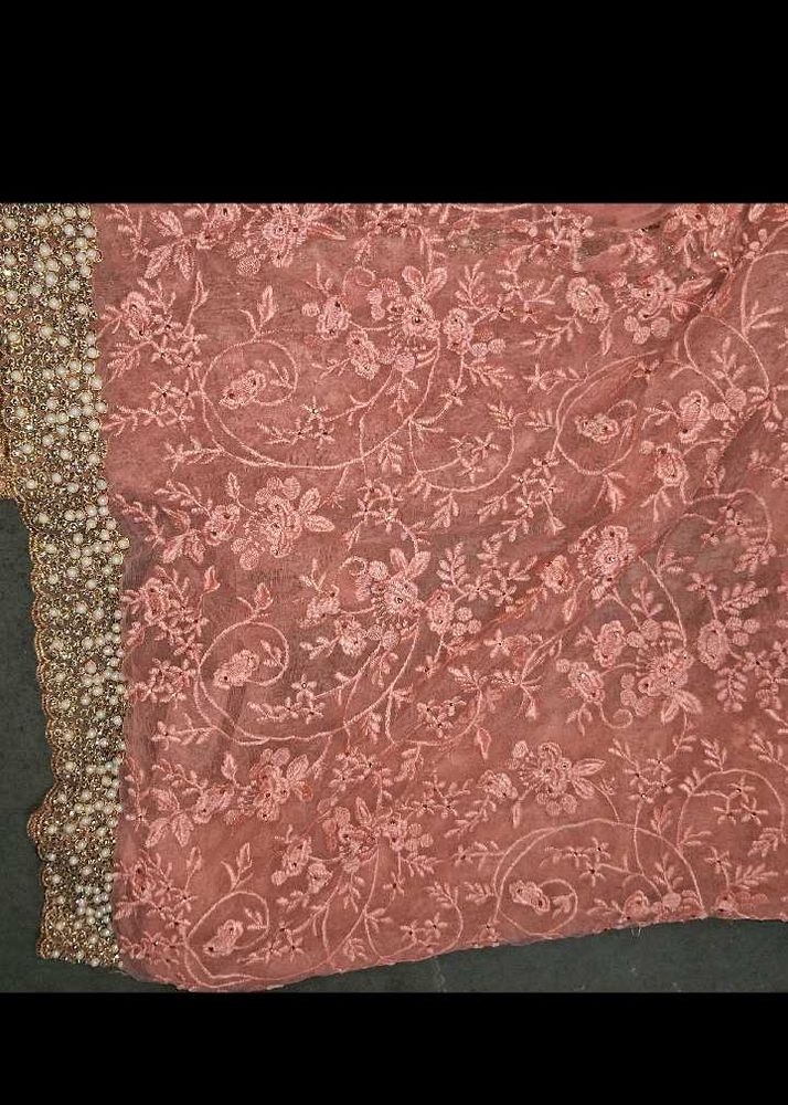 Stunning Embroidered Saree with Pearl Border