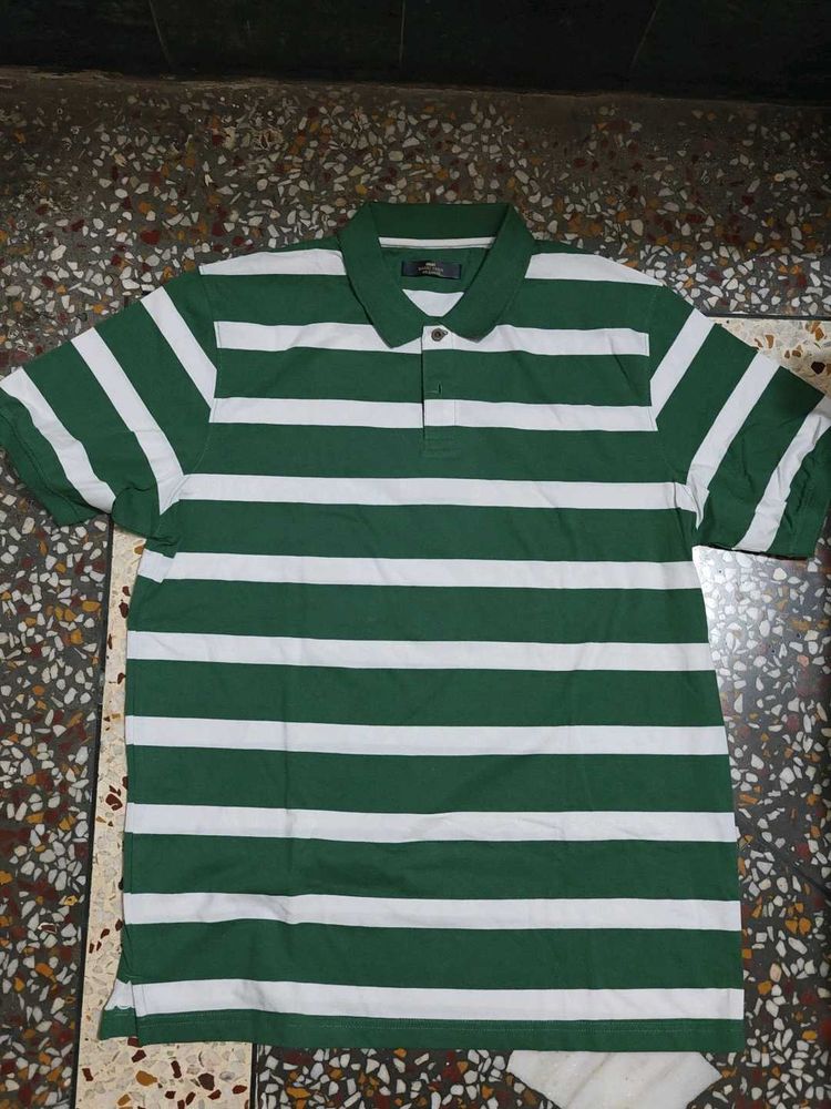 Striped Green Polo Shirt