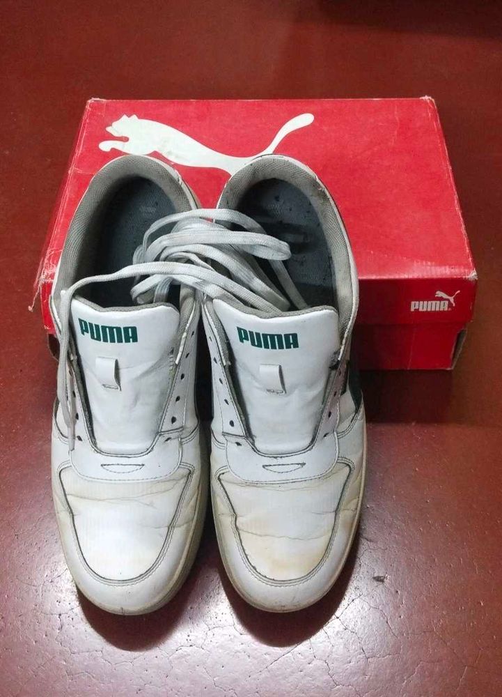 PUMA SkateCat Drift Sneakers (White-Malachite) – M