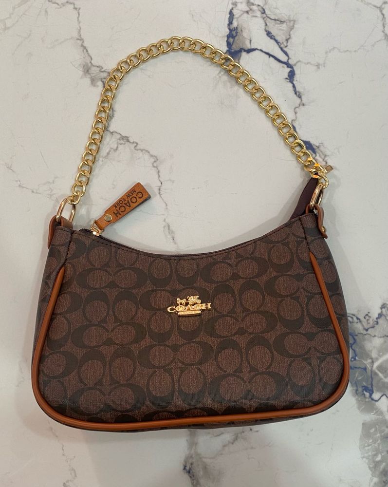 Coach Signature Hobo Bag