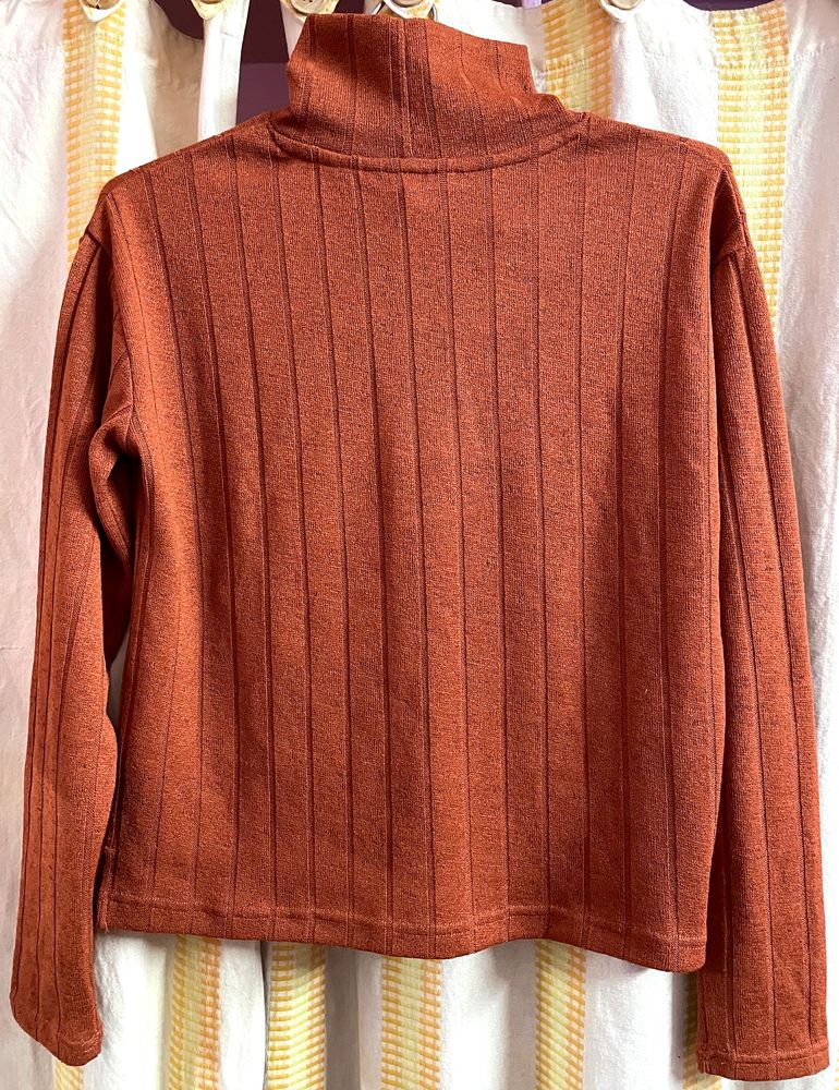 Turtle neck top