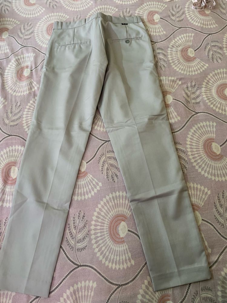 Men's Light Grey Formal Trousers