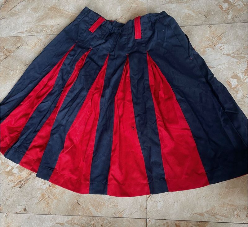 Fancy Skirt