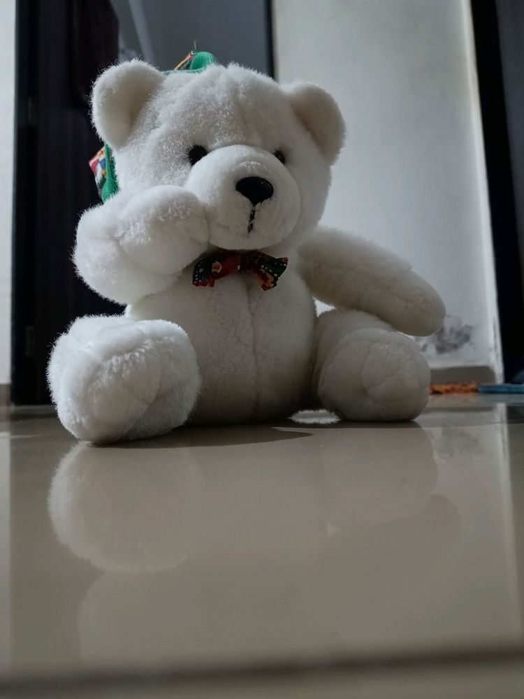 Super Soft White 🤍🐻‍❄️ Teddy Bear