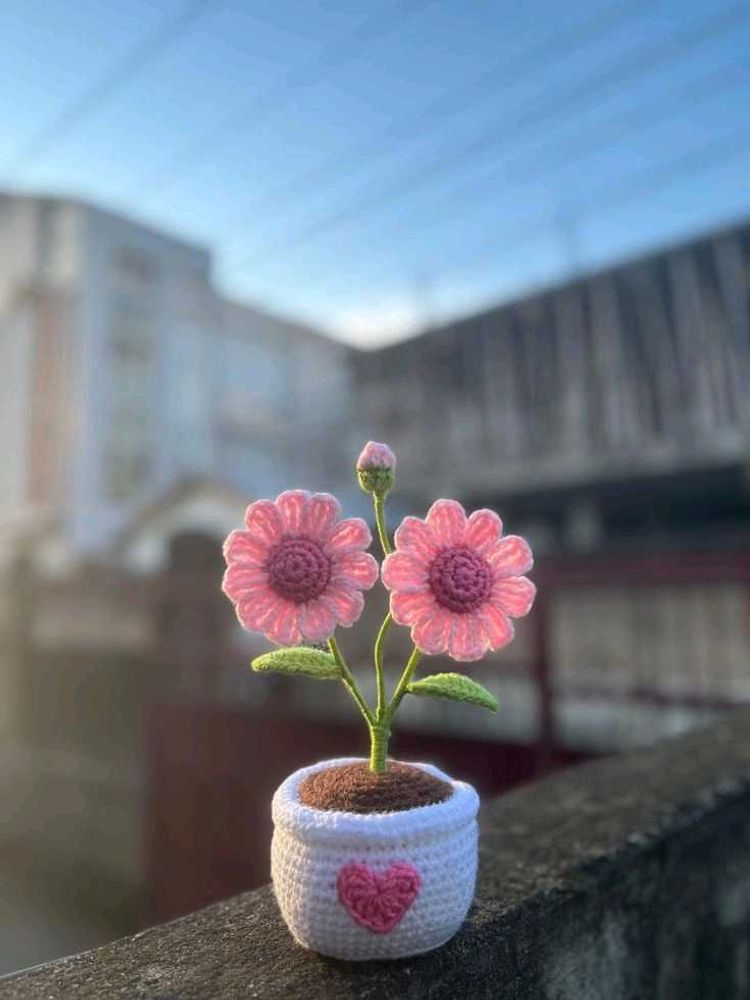 Handmade Crochet Flower Pot