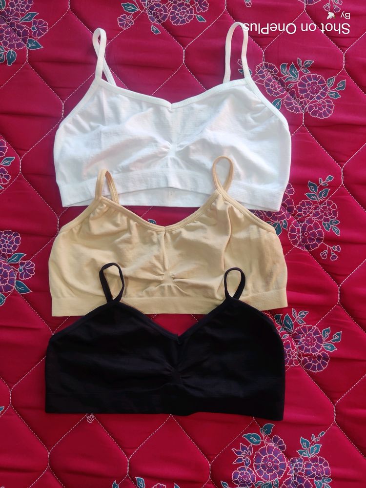 Seamless non Padded Bra- Pack Of 3