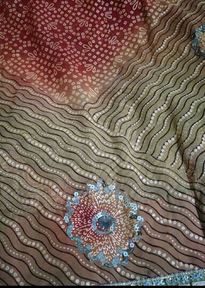 Designer Saree with Sequins
