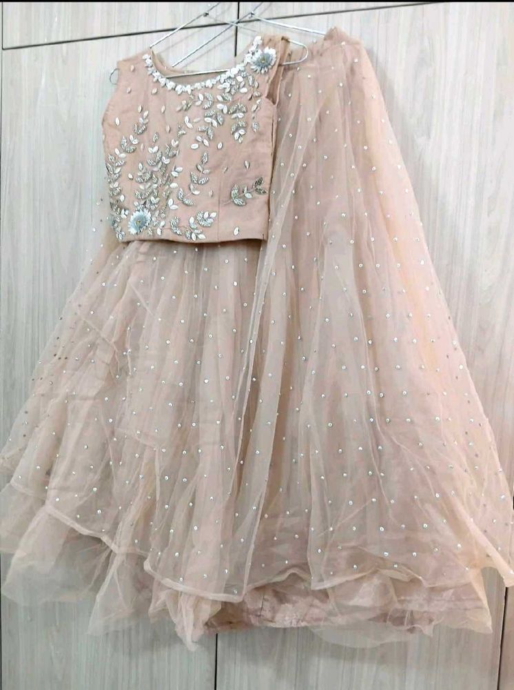NEW Embellished Lehenga Set