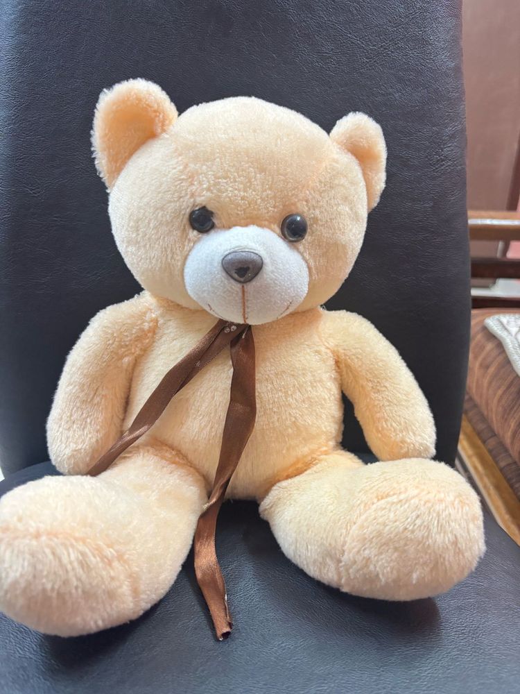 Cute Plush Teddy Bear