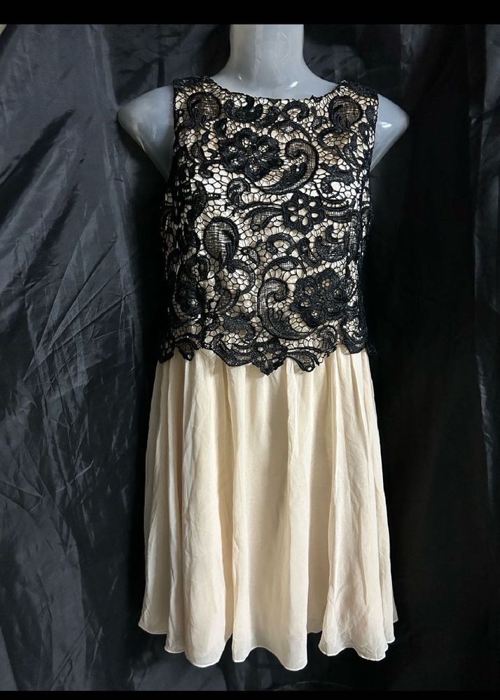 Elegant Lace Overlay Dress
