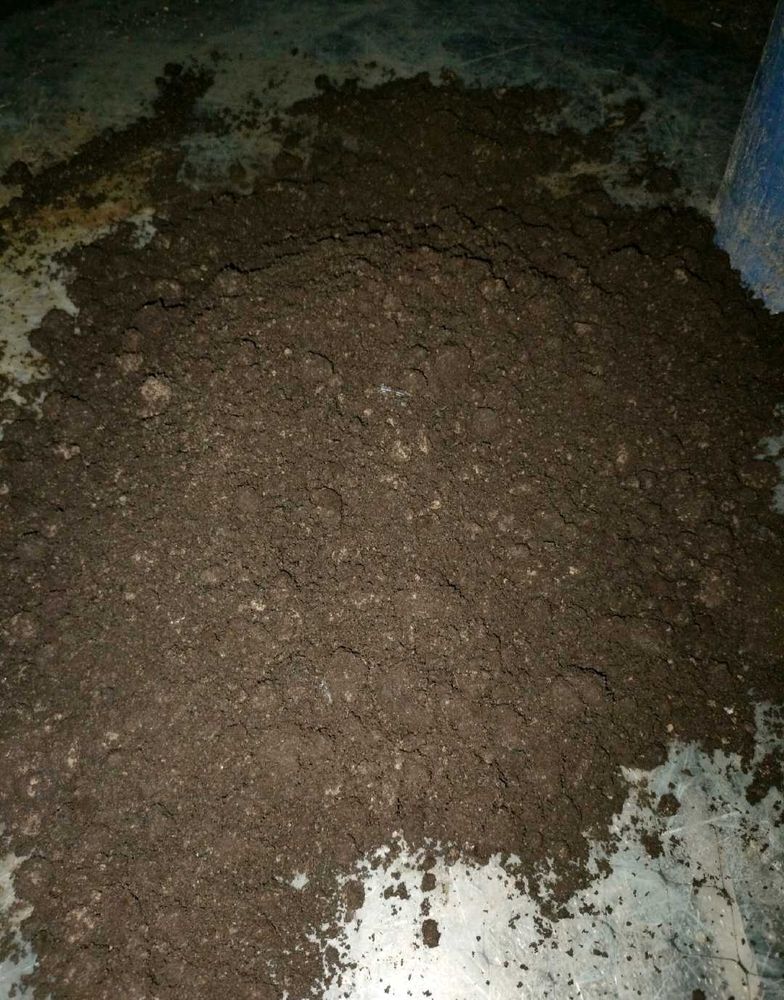 Home Made Compost For Plants