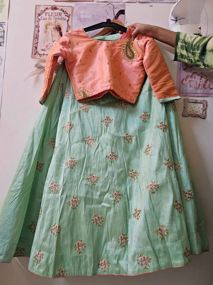 Embroidered Lehenga Choli Set