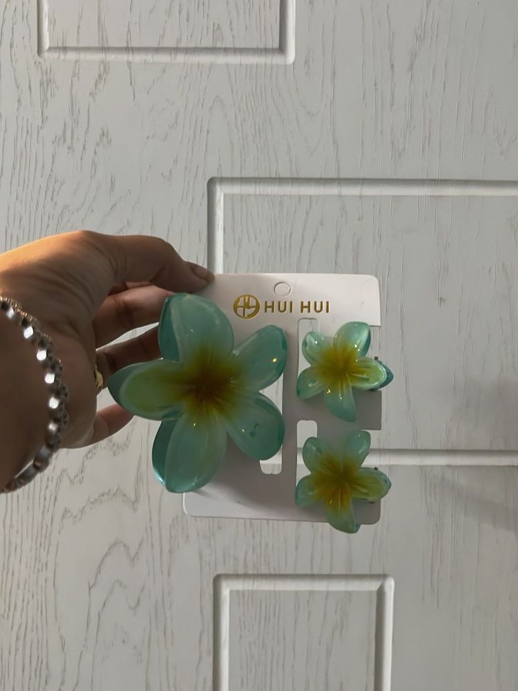 🛍️Pack of 4 Cute accessories