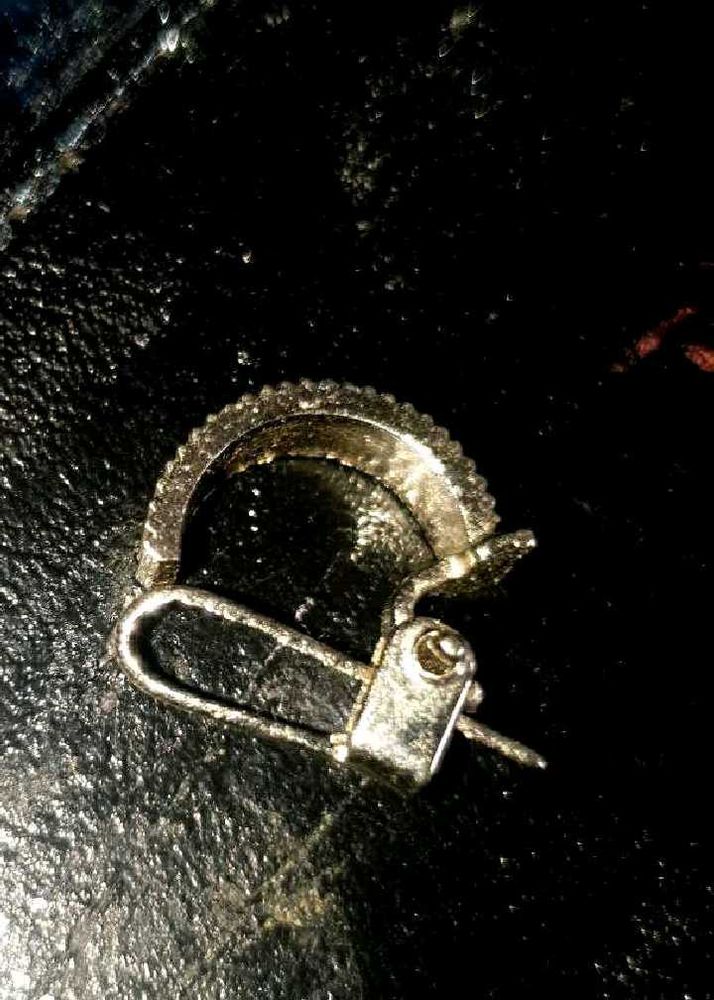Sparkling Hoop Earrings