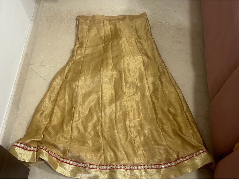 Elegant Golden Skirt with crop top