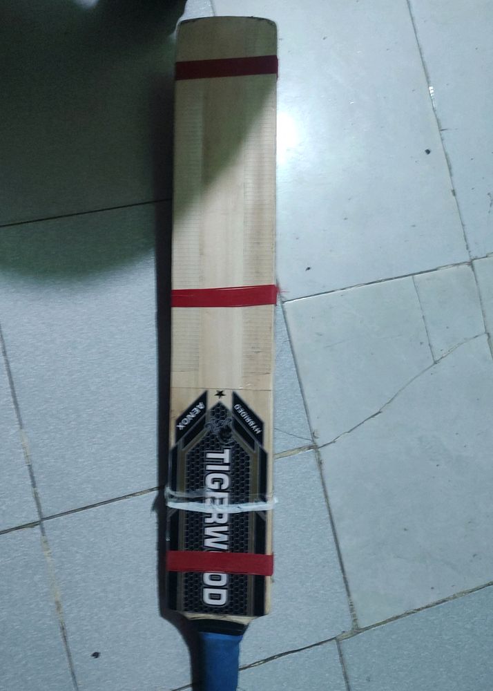 Cricket Bat