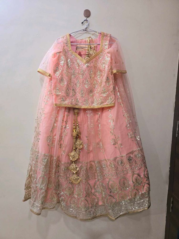 Sequin Work Lehenga Set