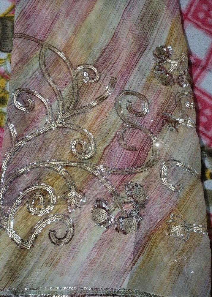 Embroidered Saree with Delicate Detailing