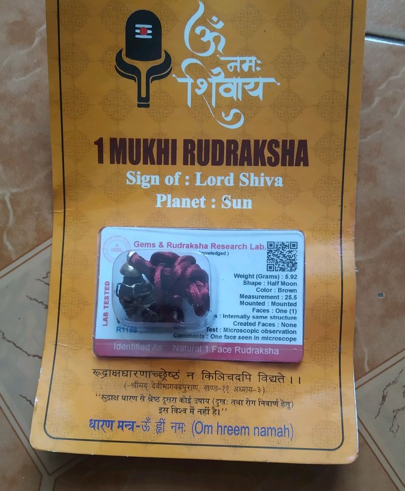 1 Mukhi Rudraksh