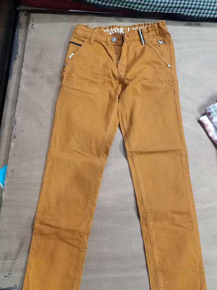 Stylish Mustard Color Pants