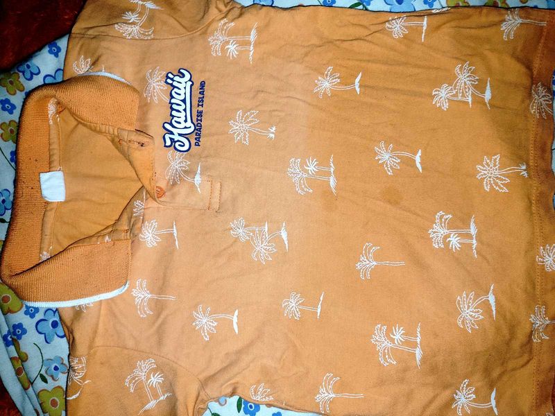 Hawaii Paradise Island Graphic Shirt