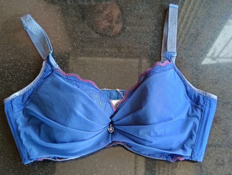 Blue Colour Net/Lightly Padded Bra.