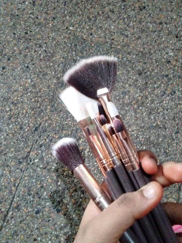 Professional Makeup Brush Set
