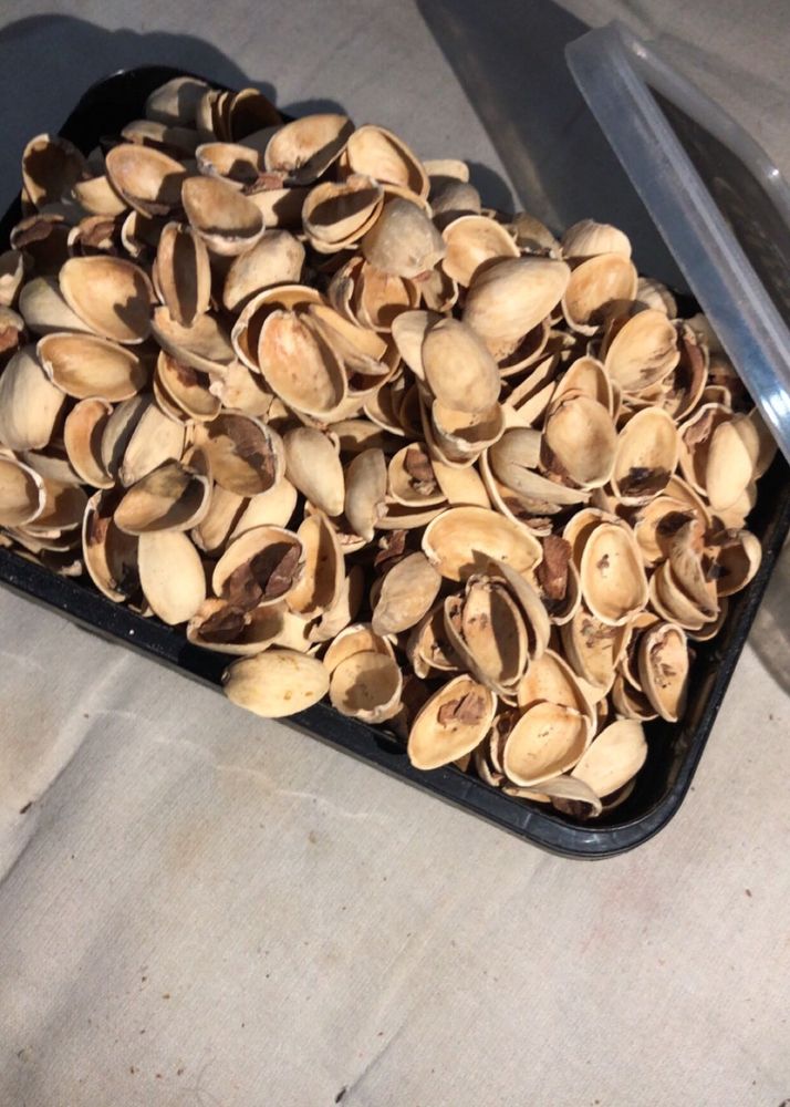Pistachio Shell Pista Ka Chilka