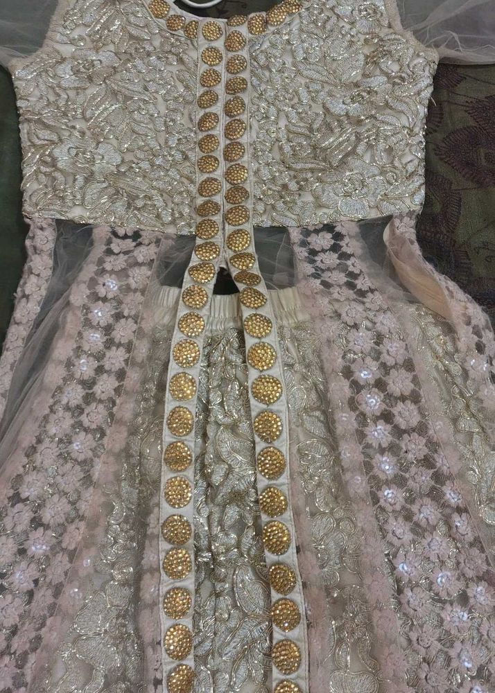 Exquisite Embellished Lehenga Choli Set