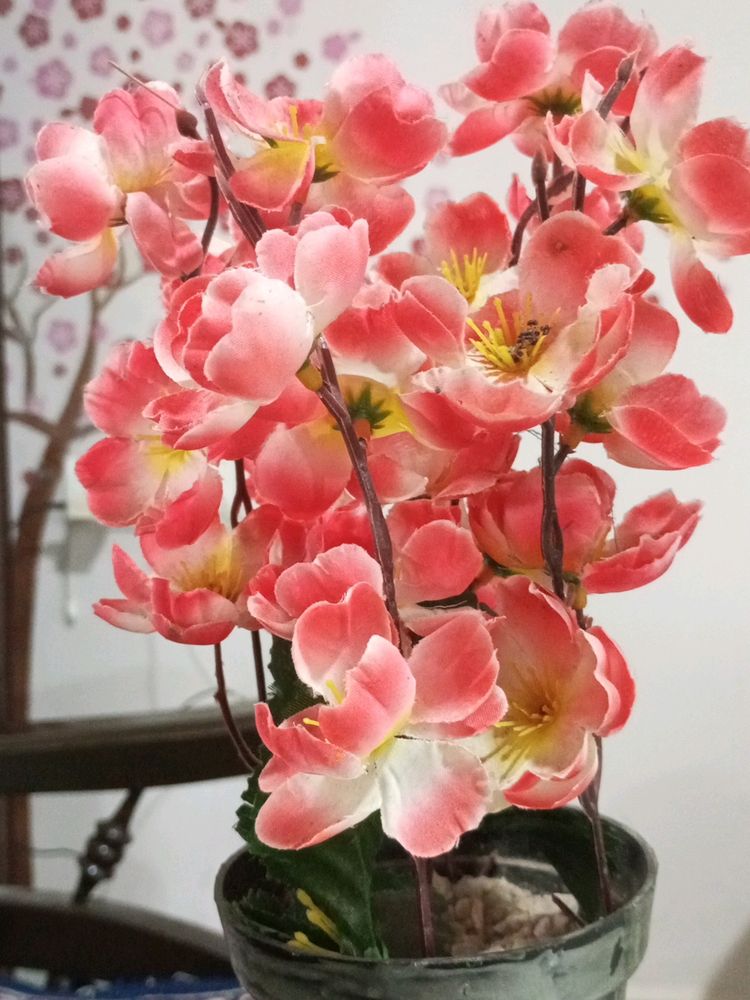 Orange Yellow Color Flower Pot