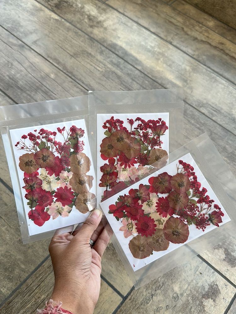 Pressed Flowers Sheets Combo