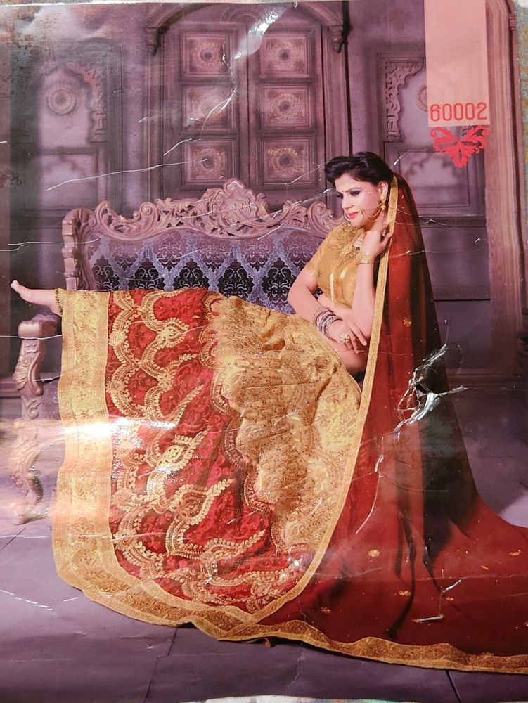 Elegant Red &amp; Gold Saree