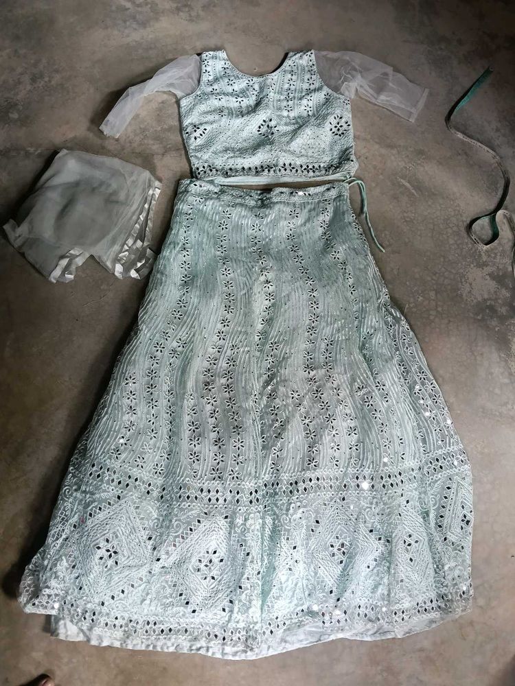 Embroidered Lehenga Choli Set